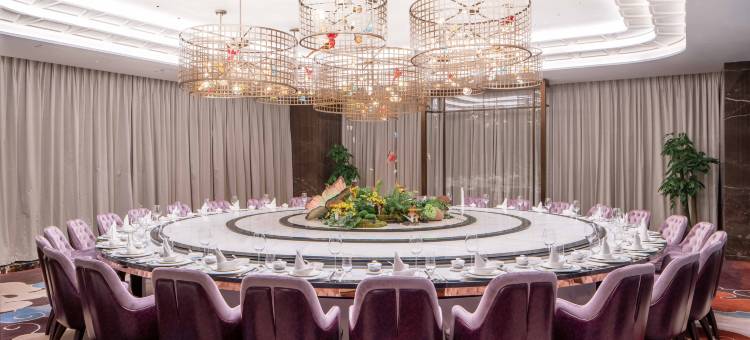 成都非遗博览园缇沃丽酒店图片