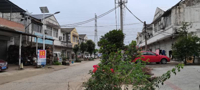 绿都宾馆(泗阳农场店)图片