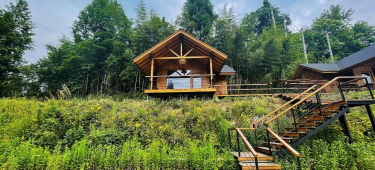 安吉山野溪流民宿(小杭坑店)图片