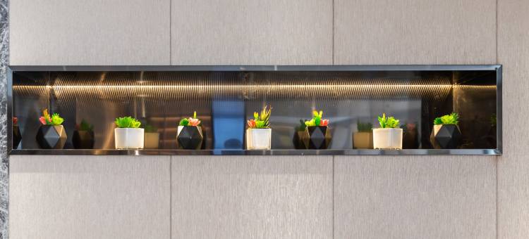 如家商旅酒店(呼和浩特大学东街农业大学店)图片