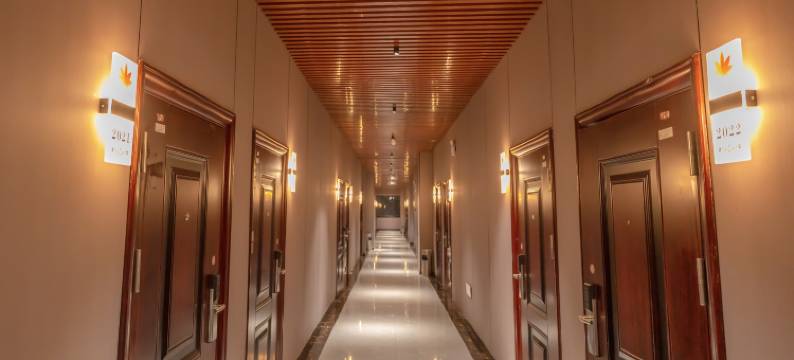 林州枫林九溪民宿(人民广场店)图片