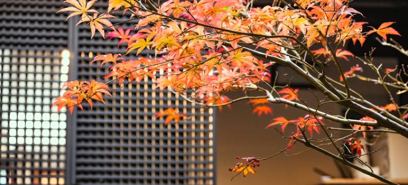 爱和华民宿(扬州东关街店)图片