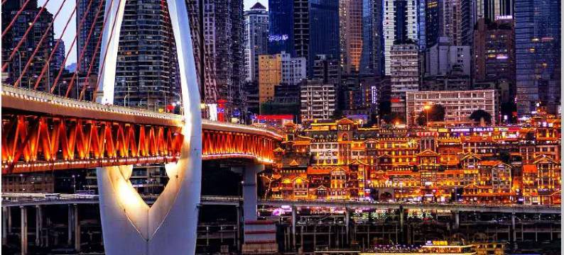 重庆纳尔维克酒店图片