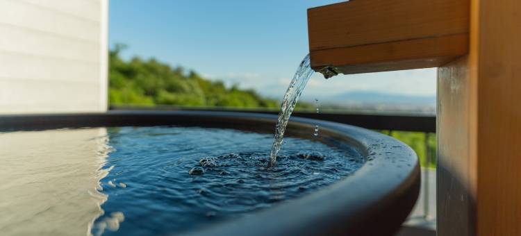Ando Hotel Nara Wakakusayama -Dlight Life & Hotels-图片