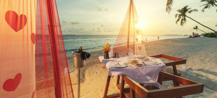 马尔代夫禧亚世嘉岛酒店(Siyam World Maldives)图片