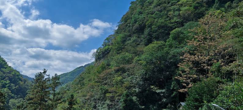 安吉九龙峡度假村图片