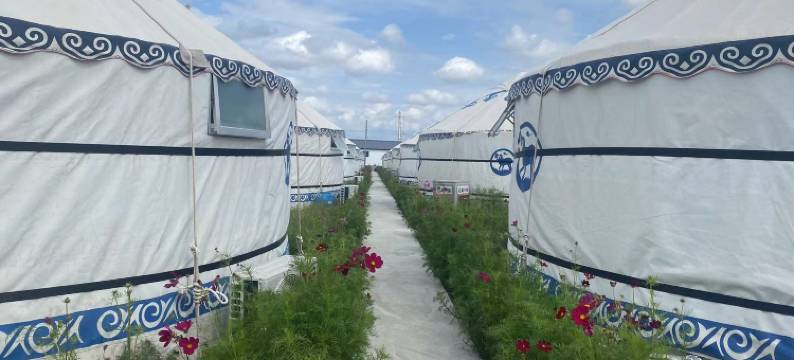 新巴尔虎左旗166游客之家图片