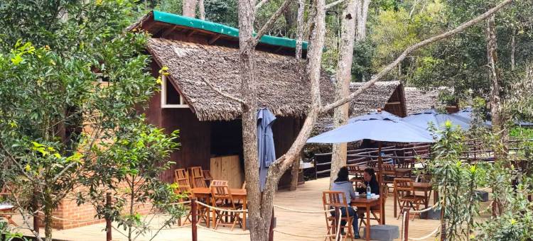 焕颜草生态营地酒店(Longoza Ecolodge)图片