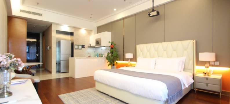 沈阳新世界智选影音酒店式公寓(沈阳站太原街店)图片