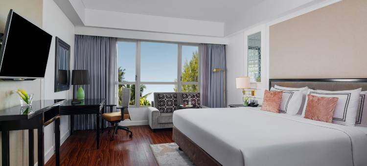 美利亚普罗萨尼酒店(Meliá Purosani)图片