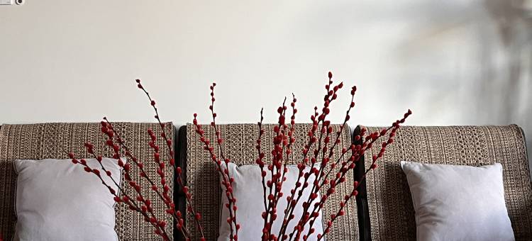 三时三舍精品民宿图片