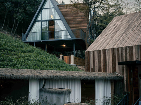 林简·Lin Jane 森系秘境私汤树屋