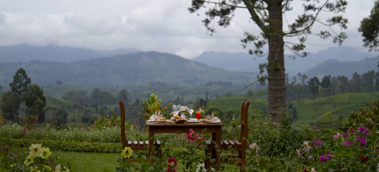 总督府酒店(Governor's Mansion)图片