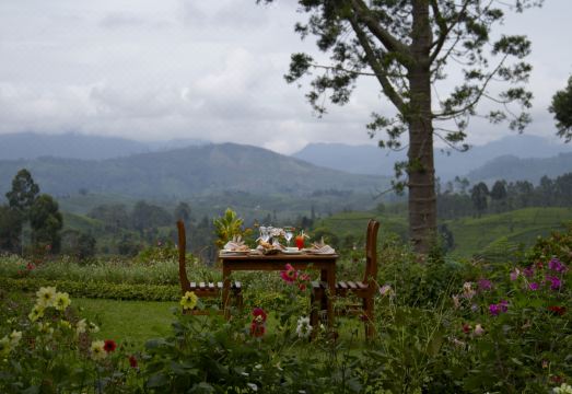 Governor's MansionHotel Overview