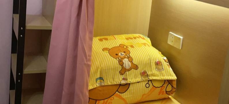 深圳元气猫酱青年旅舍图片