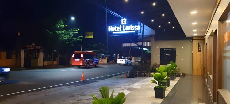 拉里萨酒店(Hotel Larissa Ciamis)图片