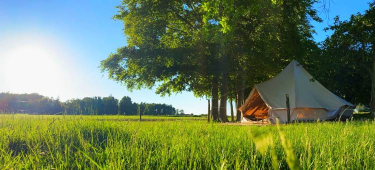Under Canvas 博恩霍尔姆(Under Canvas Bornholm)图片