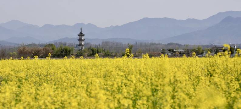 黟云·碧山图片