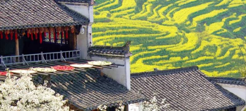 山屿涧民宿(婺源高铁站店)图片