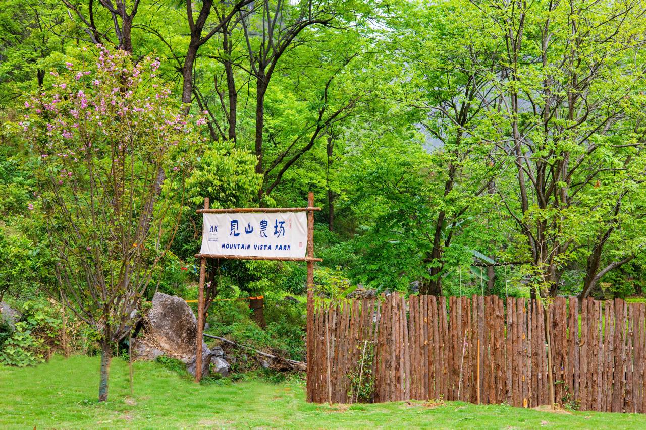 途易蓝•相和里度假酒店(阳朔遇龙河生态公园千古情景区店)图片