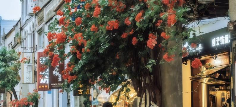 北海海忆民宿(北海银滩海滩公园国际客运码头店)图片