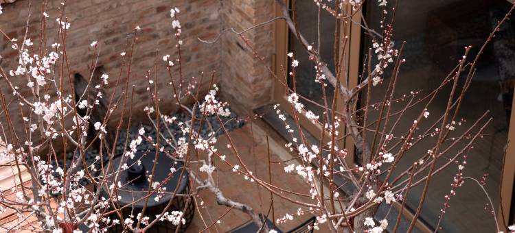 山与树民宿图片