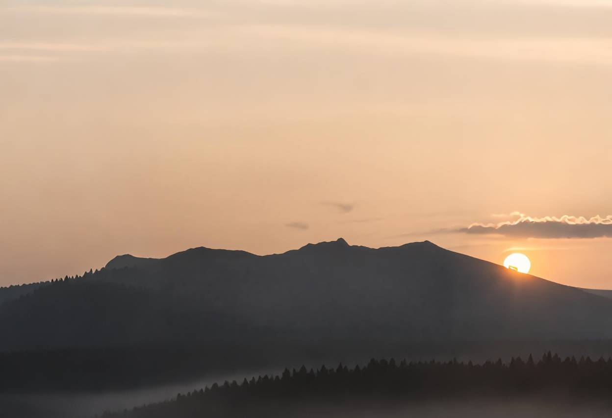 白玉兰酒店(道县九鼎步行街店)图片