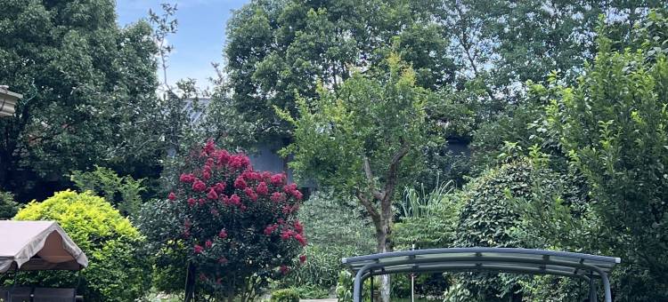 原谷乡村酒店(安吉白茶观景平台店)图片