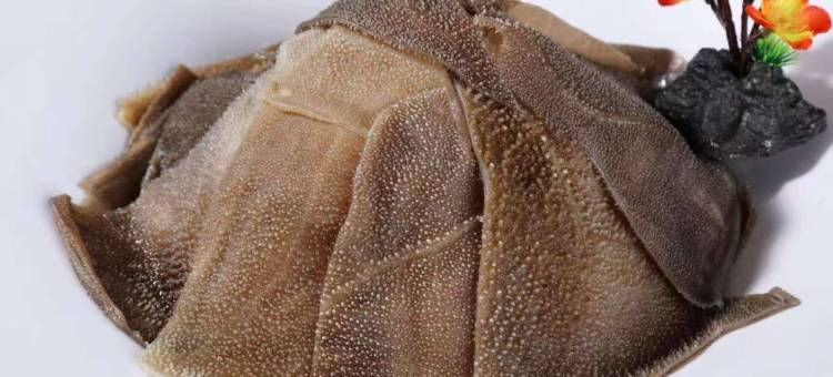 通渭尚林温泉酒店图片