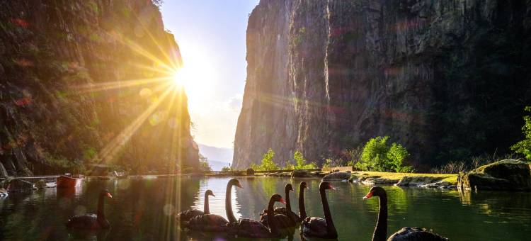 大理石门关温泉酒店图片