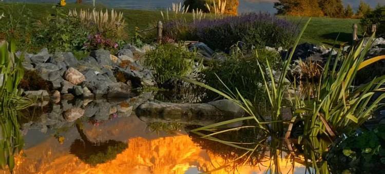 揽月·云汐Lunar·GalaxyPro栖居古城全景·投影私幕美宿(北门店)图片