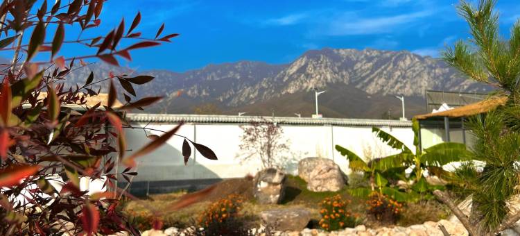 登封有鹿民宿(嵩山风景区店)图片