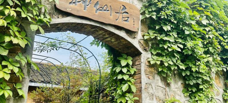 神仙居休闲度假民宿图片