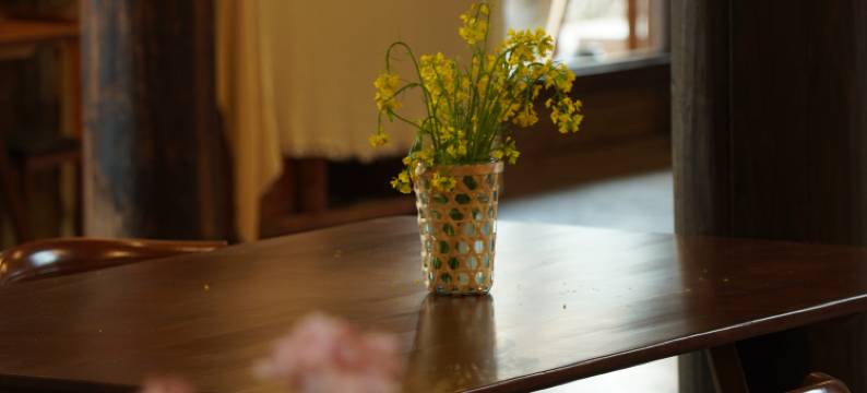 石頭會唱歌·舊寨山間民宿图片