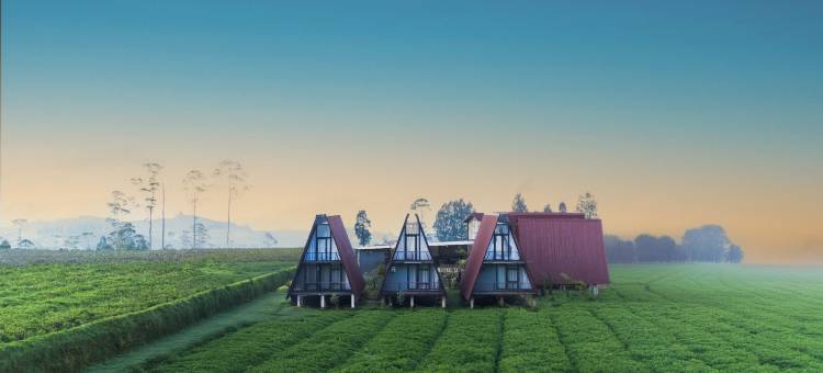 迪恩格塞里亚度假村(DIENG CERIA RESORT)图片