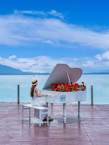 观澜小洱海·养心酒店图片