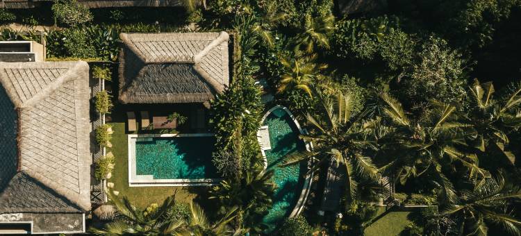 巴厘岛乌布尼尤水疗度假村(Ubud Nyuh Bali Resort & Spa)图片