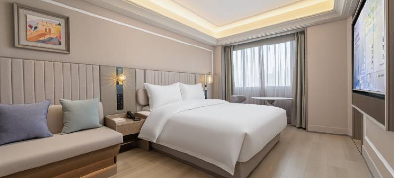 洛阳南昌路王府井美居酒店图片