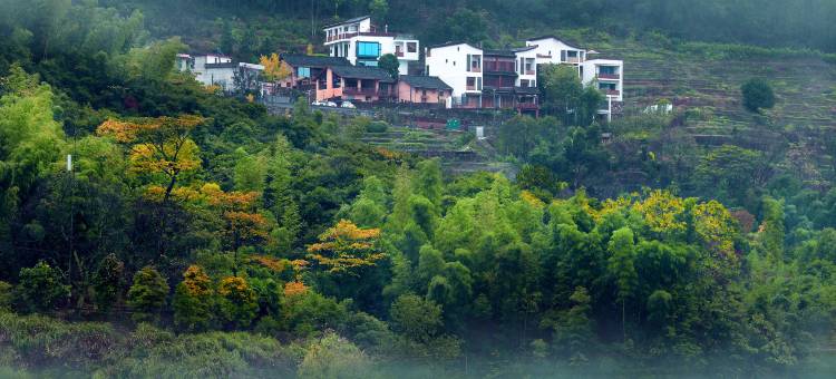 宜春旧雨新知轻奢民宿(明月山温泉度假村店)图片