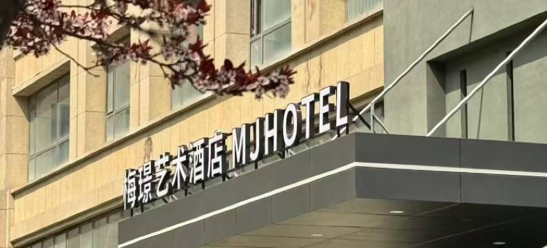 梅璟艺术酒店(坊子泰华城店)图片