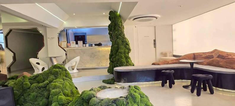 大树老城酒店(Big Tree Old Town Hotel)图片