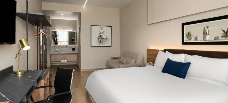 TRYP by Wyndham Ciudad Guzman UTTSA图片