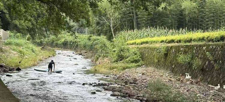 白璃溪树·BAILI CREEK|溯溪疗愈·设计师度假美墅(安吉店)图片