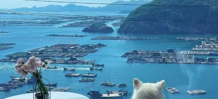 浪屿海景民宿(旗冠顶登山入口店)图片