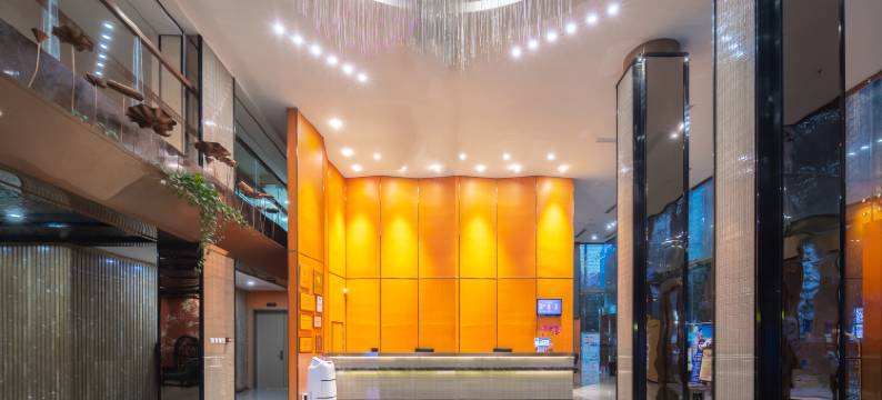 海口五指山国际温泉酒店(骑楼老街日月广场免税店)图片