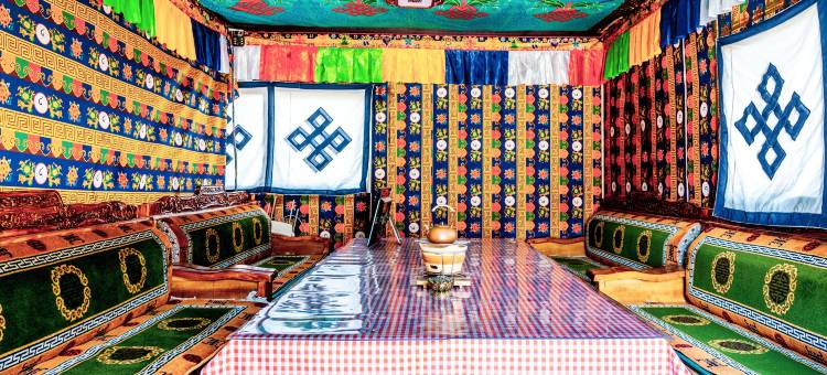 当雄雪山星空营地图片