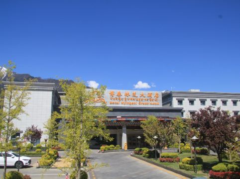 博泰林芝大酒店详情