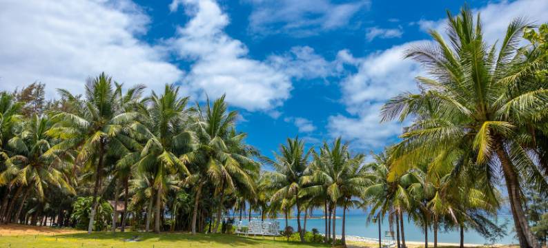 椰子美宿(陵水海棠福湾店)图片