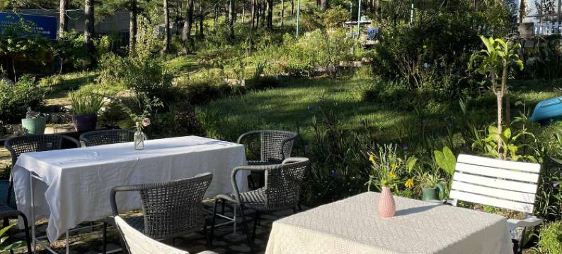 安宁别墅(An Nhien Villa)图片