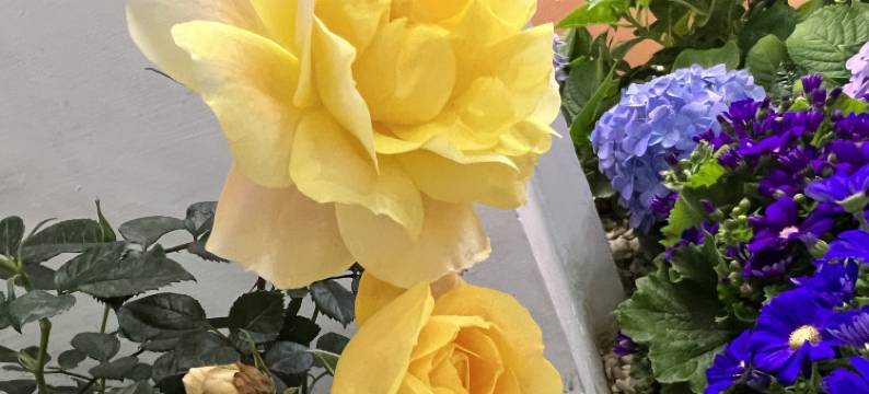 厦门福居美宿图片